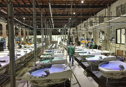 Foshan Nanhai Sannora Sanitary Ware Co., Ltd. linha de produção do fabricante